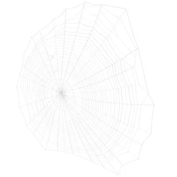 Spider Web ~ 3D Model ~ Download #89228632 | Pond5