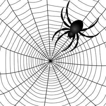Spider web abstract drawing Stock Illustration