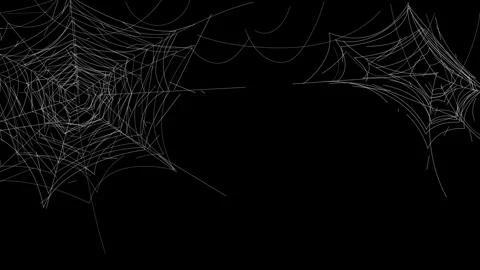 Spider web abstract Halloween linear motion background Stock Footage 318150758