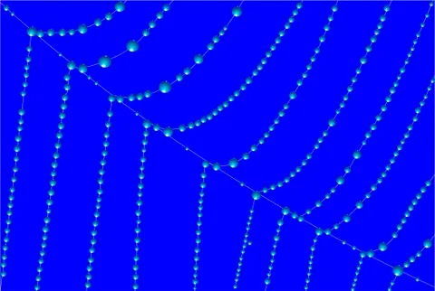 Spider web  after rain イラスト素材