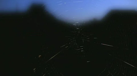 Spider in web against Monument Valley Stock Footage 507615