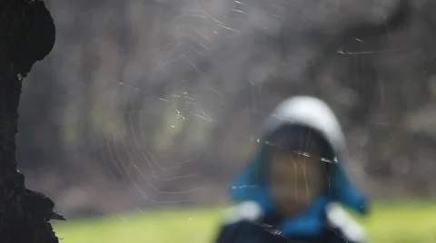 Spider web and child Stock Footage 35682604