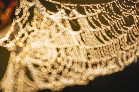 Spider web and dew drop close-up Stock Photos