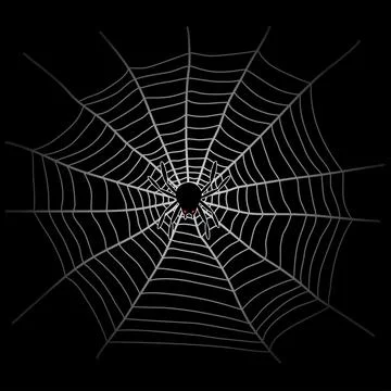 Spider web and spider in the dark Stock Illustration