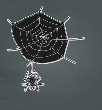 Spider web and spider Stock Illustration