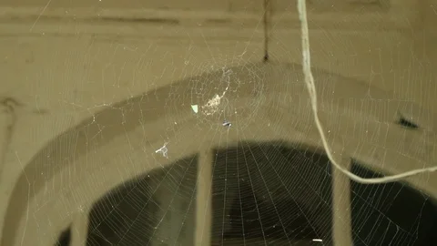 A spider web and a spider on the window of a ruined building. 4k. Stock Footage 81725647