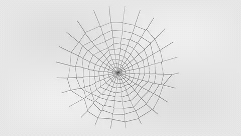spider web animation with alpha channel | Stock Video | Pond5
