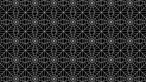 Spider Web Animation Loop Background Stock Footage 316365387