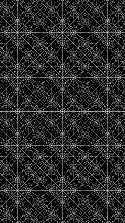 Spider Web Animation Loop Background Stock Footage 316365395