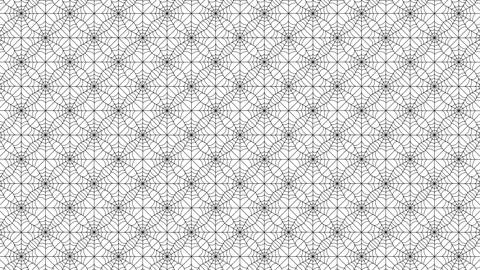 Spider Web Animation Loop Background Stock Footage 316365401