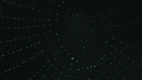 Spider web artist with black background 動画素材 82462353