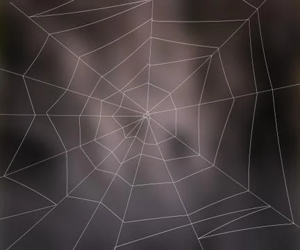 Spider web background Stock Illustration
