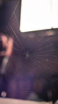 Spider Web on the background of a window in an abandoned room Stock Photos