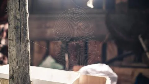 Spider Web on the background of a window in an abandoned room Stock Photos