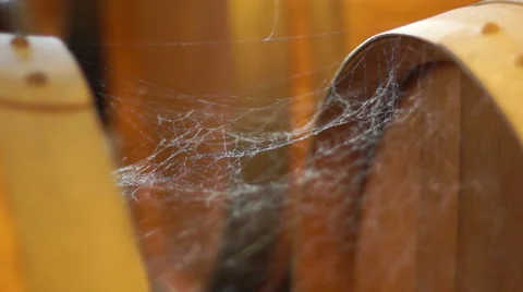 Spider web on a barrel Video stock 51160822