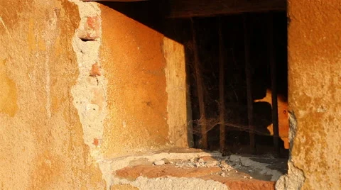 Spider Web on Bars Window Stock Footage 46127199