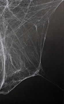 Spider web on a black background.  Background for holiday card, flyer or bann Stock Photos