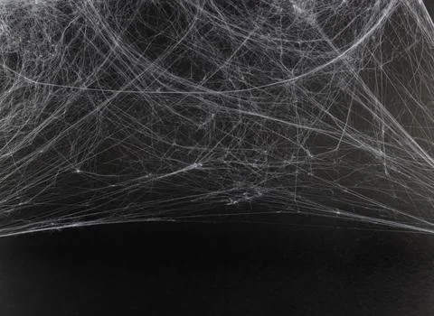 Spider web on a black background.  Background for holiday card, flyer or bann Stock Photos