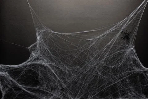 Spider web on a black background, small spiders in the corners and a fly at t Stock Photos