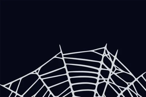 Spider web on black background. Spooky Halloween cobweb. Vector illustration 스톡 일러스트
