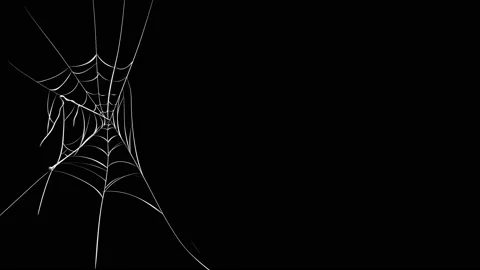 Spider Web blowing in the Breeze Black Background 4K Loop Stock Footage 163126305