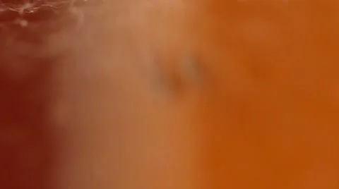 Spider web blur Stock Footage 7747001