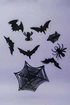 Spider web with a bunch of bats and spiders on it Stock Photos