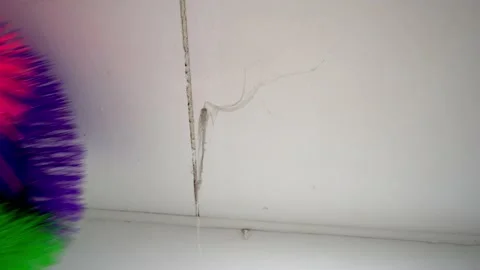 Spider web clean by cobweb duster Vidéo 197011418