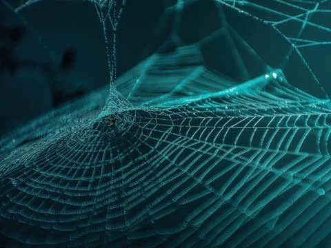 The Spider Web close up with copyspace Stock Photos