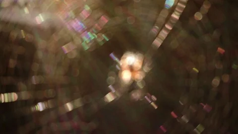 Spider Web close-up defocus Wildlife Nature Animal shiny web Stock Footage 104358248