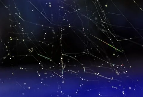 The spider web closeup background. abstract background Stock Photos