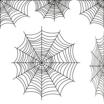 Spider web collection isolated on white tone. Spider web for Halloween design Stock Illustration