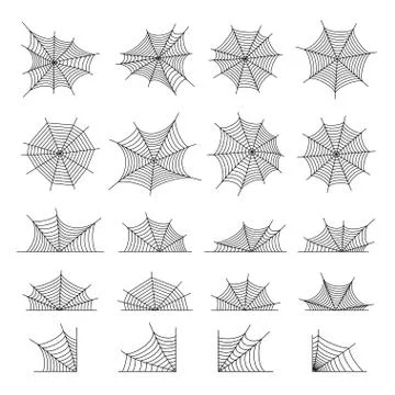 Spider web concept 스톡 일러스트