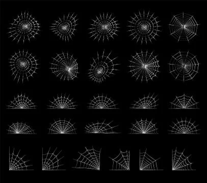 Spider web concept 스톡 일러스트
