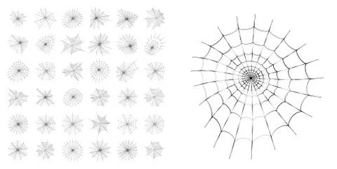 Spider web concept Stock Illustration