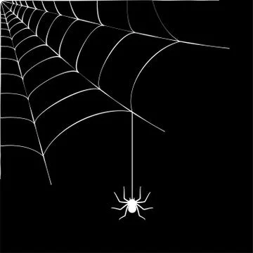 Spider web concept Stock Illustration