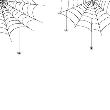 Spider web concept Stock Illustration