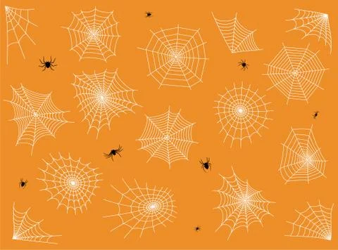 Spider web concept Stock Illustration