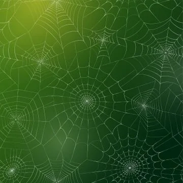 Spider web concept Stock Illustration