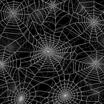 Spider web concept Stock Illustration