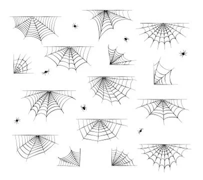 Spider web concept 스톡 일러스트