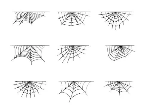 Spider web concept Stock Illustration