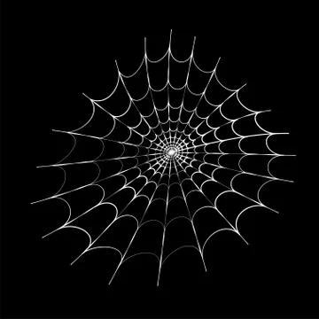 Spider web concept Stock Illustration