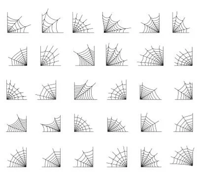 Spider web concept 스톡 일러스트