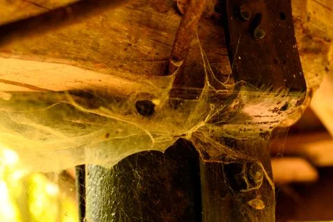 Spider web in the corner of old abandoned summer kitchen in the forest 스톡 사진