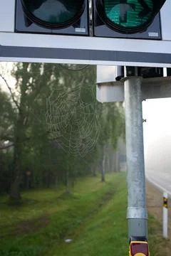 Spider web covered with dew drops Stock Photos