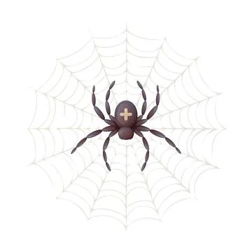 Spider in the web with a cross on its back, top view, cartoon vector Stock Illustration