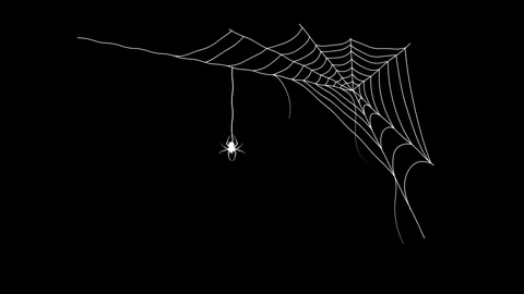 Spider on a web in the dark. Stock Footage 318171769