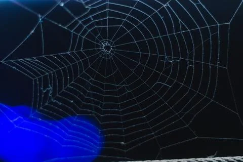 Spider Web in the darkness. Close up Stock Photos