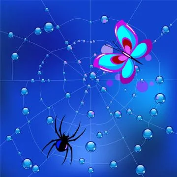 Spider on the web in dew drops and a caught butterfly Stock Illustration